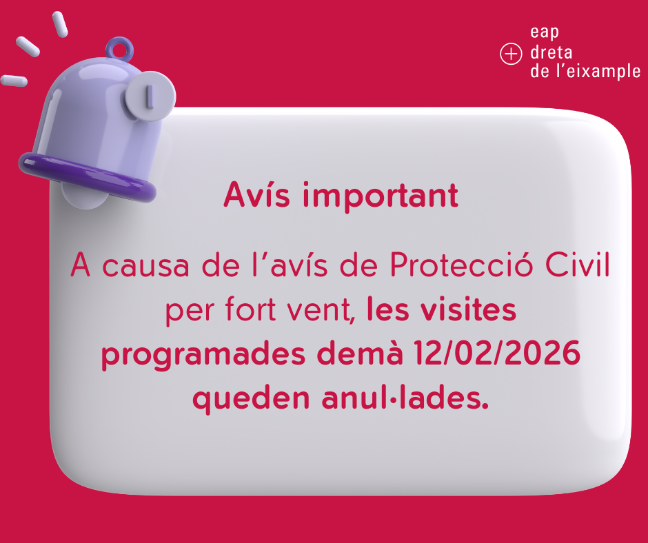 Anul·lació vistes programades el 12/02/2026